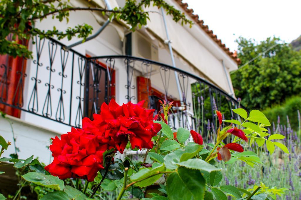 Guesthouse Lykourgos Mavrommation Экстерьер фото